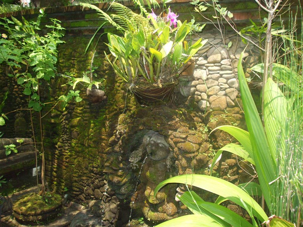 Semana Ubud