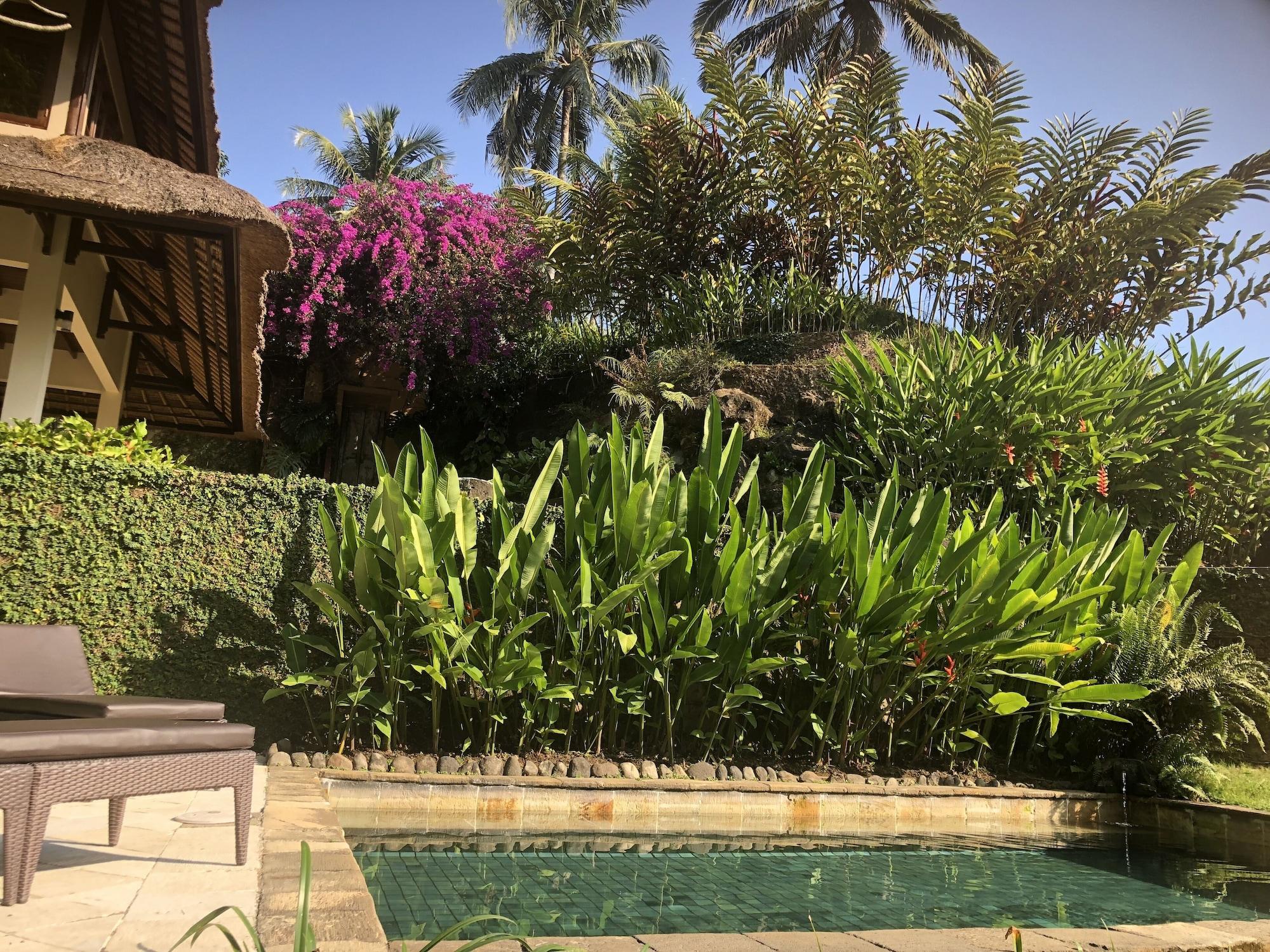 Semana Ubud