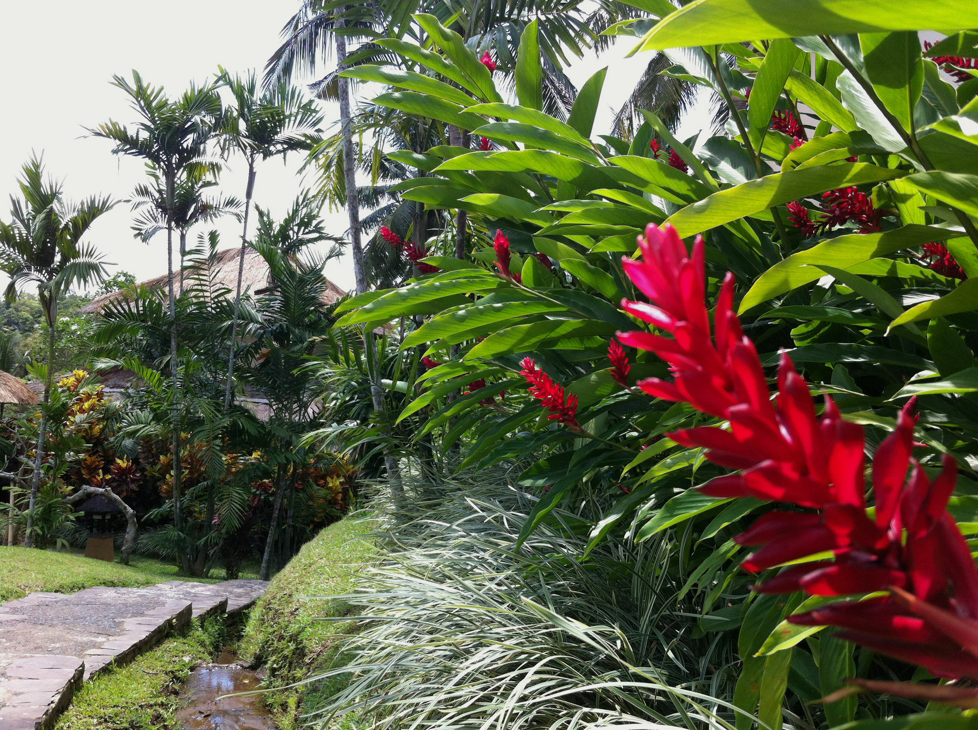 Semana Ubud